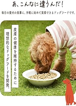 生粋ドッグフードドクターズメイド2袋